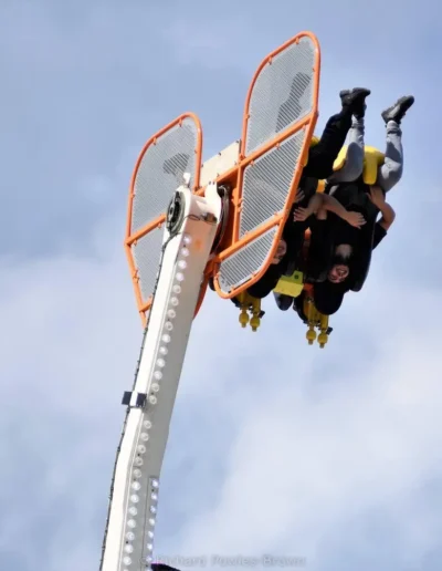 Fête de l'Oiseau Saint-Genis-Pouilly juin 2022