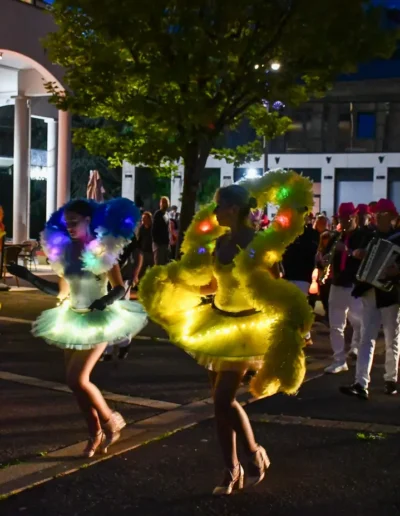 Fête de l'Oiseau Saint-Genis-Pouilly juin 2025