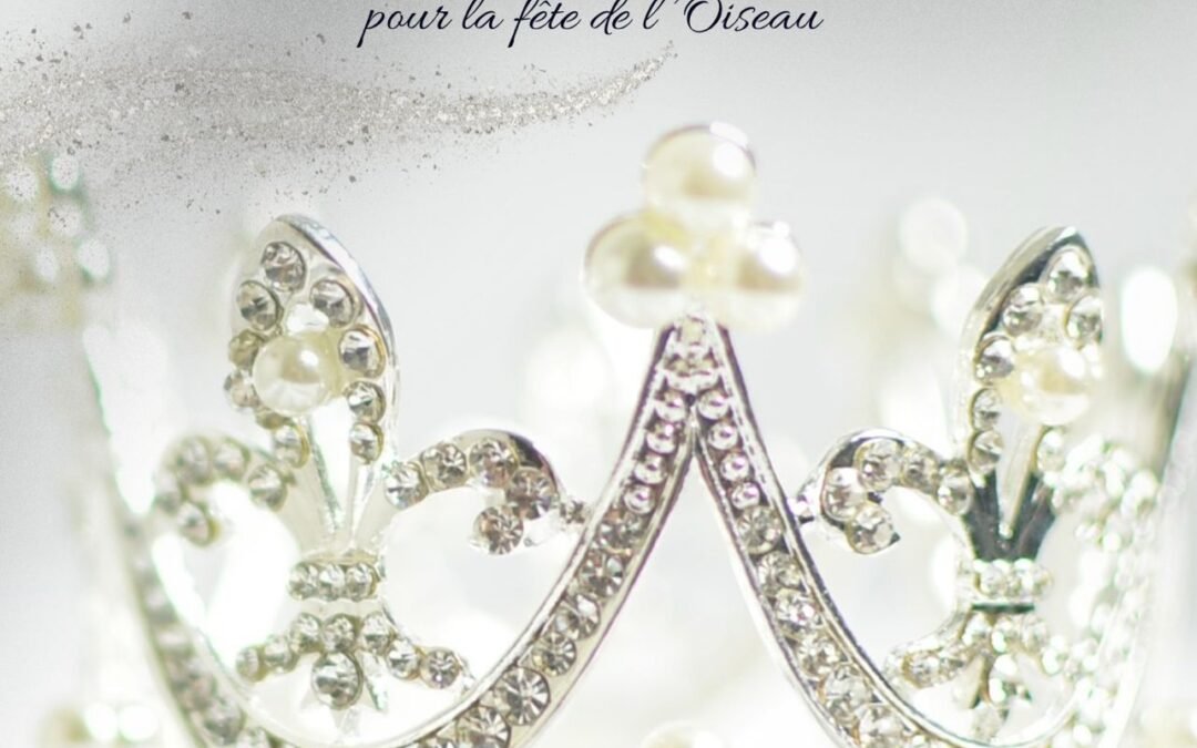 Election de la Reine et de la Princesse