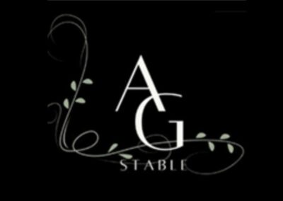 GRACE STABLES HORSEMANSHIP